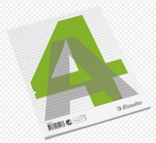 Bloknotas, plėšomas, Esselte, A4/100, linija | 62913