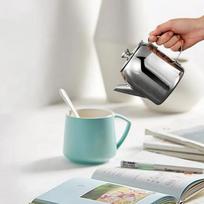 Stainless Steel Teapot 20 Oz Spill Proof Metal Teapot With Short Straight Spout Cold Water Jug Coffee Kettle Egg Cooker Timer sidabras