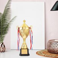 Trophy Cup for Sports Competitions and Celebrations Height 29cm