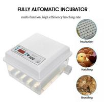 110-220V 16 Eggs Hatching Mini Brooder Small Chicken Bird Egg Hatchers Incubator for Quail Parrot Duck Poultry Hatchery Machine 1 x battery