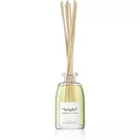 The Olphactory, Bright Orange & Cinnamon, Fragrance Sticks, Aroma Reed Diffuser, 250 ml
