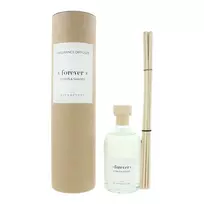 The Olphactory, Forever Citrus & Shades, Fragrance Sticks, Aroma Reed Diffuser, 250 ml