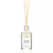 The Olphactory, Radiant Spiced Tangerine, Fragrance Sticks, Aroma Reed Diffuser, 100 ml
