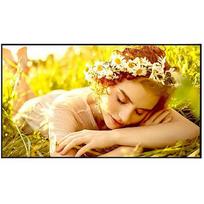 LG Monitor 50UL5Q-E 500cd/m2 UHD 24/7 50UL5Q-E