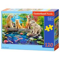 Castorland dėlionė Koi Pond 120 det