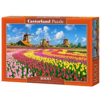 Castorland dėlionė Dutch Windmills Among Tulips 1000 det