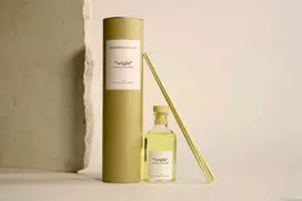 The Olphactory Bright Oranžinis & Cinnamon Fragrance Sticks Aroma Reed Diffuser, 250 ml