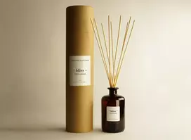 The Olphactory Bliss Žalias Leaves Fragrance Sticks Aroma Reed Diffuser, 500 ml