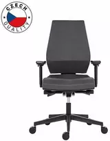 Powerton ERGO SIMA ergonomiška biuro kėdė, pilka