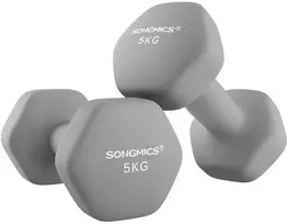 Songmics 2 pilkos spalvos hantelių rinkinys