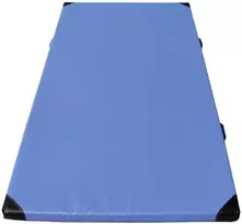 MASTER Comfort gimnastikos čiužinys 200 x 100 x 6 cm