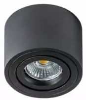 Lubinis šviestuvas Torino Mini Bross lubų lempa 1x50W (GM4000 BK)