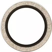 Panzer Glass Grūdintas stiklas na objektyvas PanzerGlass Hoops Glitter do iPhone Air auksinė