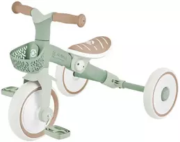 GLOBBER mokomasis triratukas Learning Trike, 2in1 Plus, pistacinis, 737-109