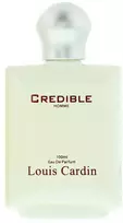 Louis Cardin Credible Homme EDP parfumuotas vanduo vyrams, 100 ml