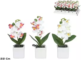 Dirbtinės orchidėjos vazone x5 – 22 cm, 6x6x22 cm, LITO