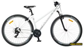 Dviratis 29  CLASSIC TEAM LADY 29 29  white classic
