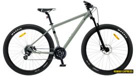 Dviratis 29  CLASSIC PRO 29+ 29  grey classic