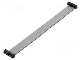 Ribbon cable with IDC connectors | IDC socket,both sides | 6"