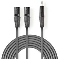 Cable Nedis 2x XLR M - 3.5mm M 3m