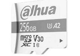 Memory Card 256GB DAHUA TF-P100/256G