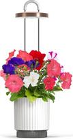 Click & Grow Click and Grow - HydroVase - White