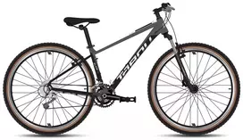 Dviratis „Tabou Blade 29 0“ juodos-antracito spalvos, L dydžio