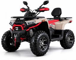Benzininis keturratis TITAN 250 T3B registruojamas