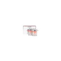 Lancome La Vie Est Belle Travel Exclusive Duo Set - EDP kvepalų rinkinys, 2 x 30 ml