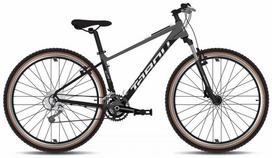 Dviratis Tabou Blade 29 0 black-anthracite-L