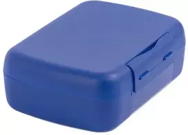 Amuse Sumuštinių ir užkandžių indelis su skyriumi 1,4 l, kobalto mėlynumo / pramogoms