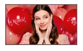 LG Electronics Large-format 43-inch monitor 43UH7Q-E 700 cd/m2 UHD 24/7
