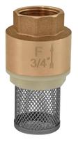 Atbulinis vožtuvas su tinkleliu Ferro K18, 1 1/4" FF