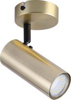 Šviestuvas lubų Candellux 91-01702, GU10, 1 x 15 W, aukso sp.