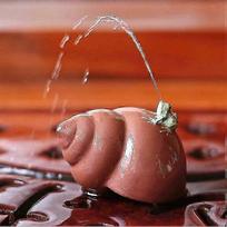 Squirting Frog on Conch Tea Pet Kung Fu Tea Crafts for Tea Room Ideal Ornaments Gift