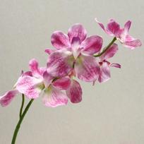 Modeliuotos gėlių puokštės svetainės TV spintelės dekoravimui Phalaenopsis dirbtinės gėlės tamsiai rausva spalva