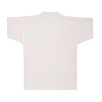 Issey Miyake Men Plisse ShorT Sleeve T shirT March Hp66jk033 42 HP66JK033-42 (02)