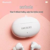 SMEBERT Schumann D18 True Wireless Bluetooth Earbuds