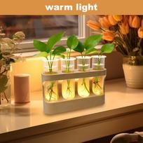 Propagation Vase Decorative Hydroponic Terrarium With LED Lights Glass Test Tubes For Hydroponic Plants For Men Women Youth China Mainland