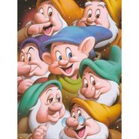 Disney deimantinė tapyba Snieguolė ir septyni nykštukai 5D kalnų krištolo mozaika PASIDARYK pats kryželiu siuvinėjimas Dovana/Namų dekoras Round 20x30cm gray