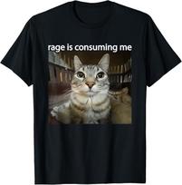 Rage Is Consuming Me Funny Silly Staring Cat Meme T-Shirt Mens Womens Tees Top  unisex T-Shirt Mens Womens Tees Top S