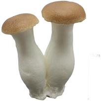 13x8cm Realistic PU Fake Mushroom Double Bud Decorative Model Lightweight 40g For Wedding Home Garden Photography Prop (as the picture,1)