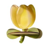Wooden Tulip Floating Wall Shelf Bohemian style Wall Shelves Display Shelf  Cafe Shop geltona