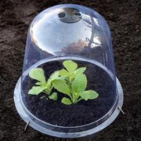 10pc transparent greenhouse seedling cover One size