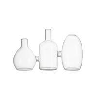 Transparent Glass Vase Floral Bottle Plant Terrarium Modern Clear Flower Vases  Indoor Propagation skaidri