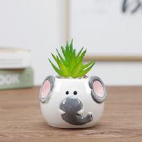 Cartoon Ceramics Flower Planter Flowerpot Garden Supplies Bonsai Accessories Succulent Potted 6