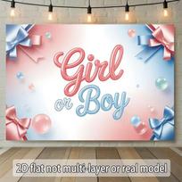 2D Gender Reveal Party Decoration Photo Booth Background 47.2x31.5inch/120*80cm