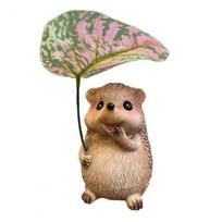 Atsparus oro sąlygoms sodo ežiuko statulėlė Derva Maža ežiuko skulptūra Kiemo dekoras Hedgehog