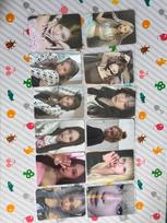 Ning Ning Poka bulk sale