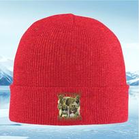 Shrek meme Unisexy faces swamp Unisex Women Unisex Knitted Hat Beanie Pullover Cap Winter Thermal Warm Christmas Outdoor Cycling Hikin